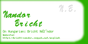 nandor bricht business card